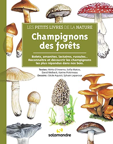 Les petits livres de la nature - Champignons des forêts von LA SALAMANDRE