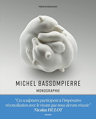 Michel Bassompierre - Monographie Michel Bassompierre - Monographie von ALBIN MICHEL