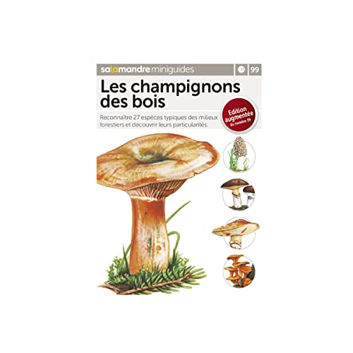 Mini-guide gratuit : Les champignons des bois Mini-guide gratuit : Les champignons des bois