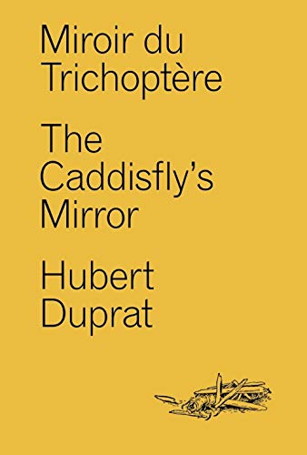 Miroir du Trichoptère Miroir du Trichoptère