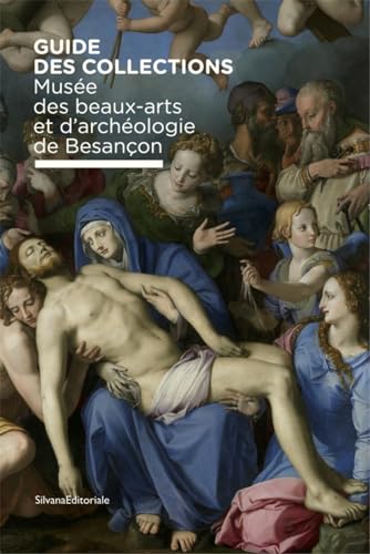 Musée des beaux-arts et d'archéologie de Besançon. Guide des collection. Ediz. illustrata: Guide des Collections (Arte)