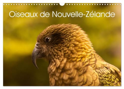 Oiseaux de Nouvelle-Zélande (Calendrier mural 2025 DIN A3 vertical), CALVENDO calendrier mensuel: Photographies d'oiseaux de Nouvelle - Zélande