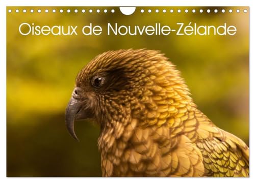 Oiseaux de Nouvelle-Zélande (Calendrier mural 2025 DIN A4 vertical), CALVENDO calendrier mensuel: Photographies d'oiseaux de Nouvelle - Zélande