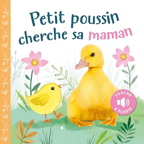 Petit poussin cherche sa maman von 1 2 3 SOLEIL
