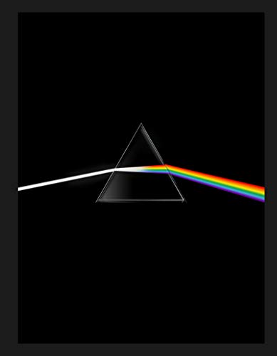 Pink Floyd their mortal remains Le livre officiel von MICHEL LAFON