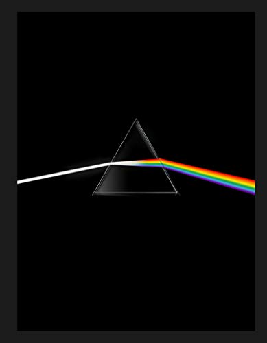 Pink Floyd their mortal remains Le livre officiel
