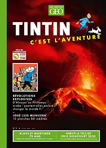 Tintin - C'est l'aventure 9