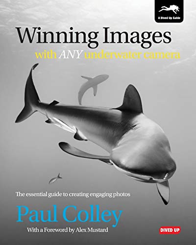 Winning Images with Any Underwater Camera: The essential guide to creating engaging photos von Dived Up Publications