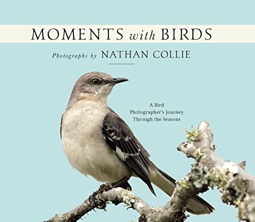 Moments With Birds: A Bird Photographer's Journey Through the Seasons von Clovercroft Publishing