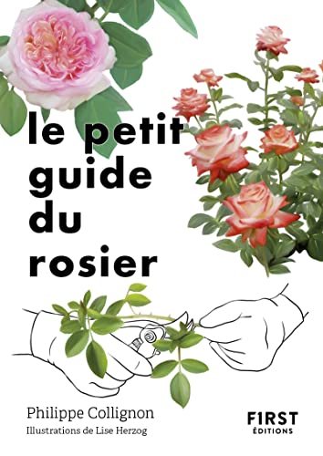 Le Petit Guide du rosier: 50 variétés à découvrir von FIRST