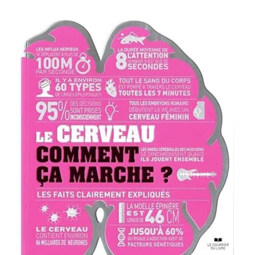 Le cerveau comment ça marche ? - Les faits clairements expliqués