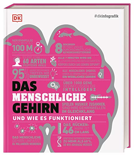 #dkinfografik. Das menschliche Gehirn und wie es funktioniert von DK