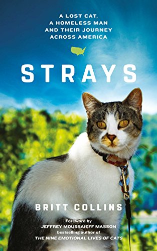 Strays: The True Story of a Lost Cat, a Homeless Man and Their Journey Across America von Simon + Schuster UK
