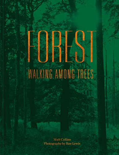 Forest: Walking among trees von PAVILION