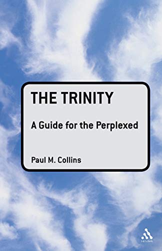 The Trinity: A Guide for the Perplexed (Guides for the Perplexed) von T & T Clark International