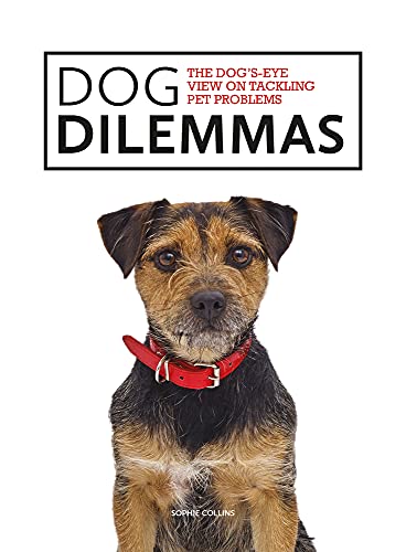 Dog Dilemmas: The Dog’s-Eye View on Tackling Pet Problems