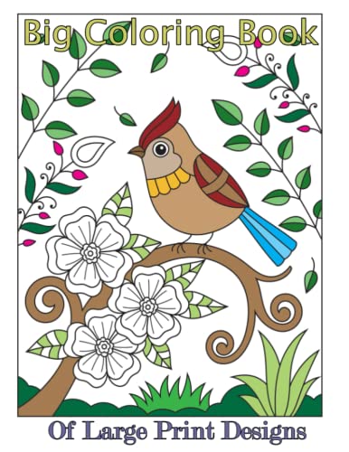 Big Coloring Book of Large Print Designs (Premium Adult Coloring Books)