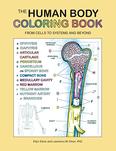 The Human Body Coloring Book: From Cells to Systems and Beyond (Coloring Concepts) von Collins Reference