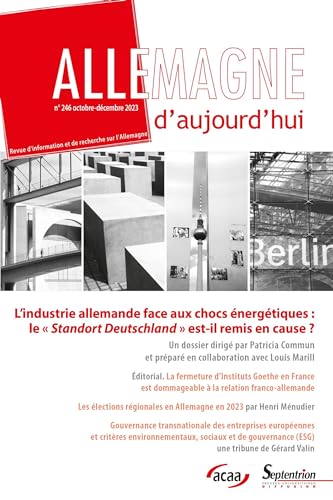 L'industrie allemande face aux chocs énergétiques : le Standort Deutschland est-il remis en cause ?: Allemagne d'aujourd'hui, n° 246/octobre-décembre 2023