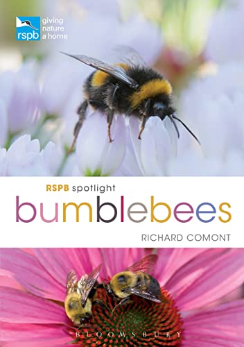 RSPB Spotlight Bumblebees von Bloomsbury