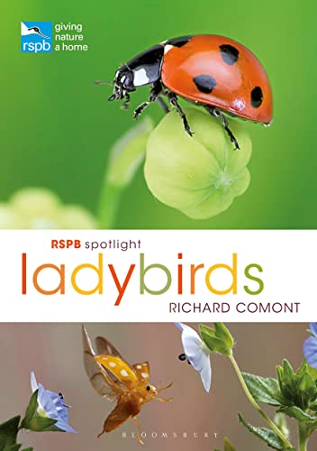 RSPB Spotlight Ladybirds von Bloomsbury