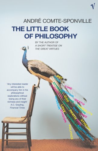 The Little Book Of Philosophy von Vintage