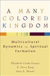 Many Colored Kingdom, A: Multicultural Dynamics for Spiritual Formation von Baker Publishing Group