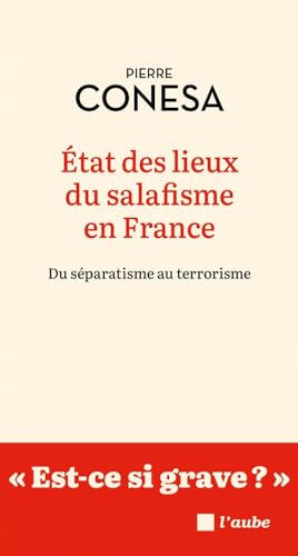 État des lieux du salafisme en France - Du séparatisme au t: Du séparatisme au terrorisme von DE L AUBE