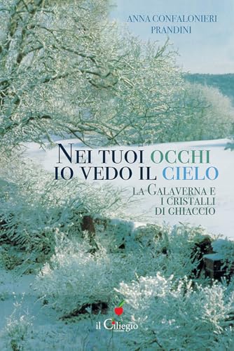 Nei tuoi occhi io vedo il cielo. La galaverna e i cristalli di ghiaccio (Narrativa) von Il Ciliegio