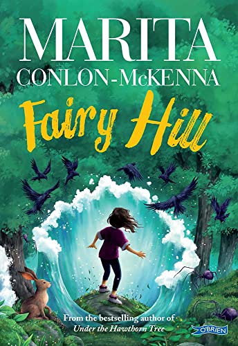 Fairy Hill von O'Brien Press Ltd