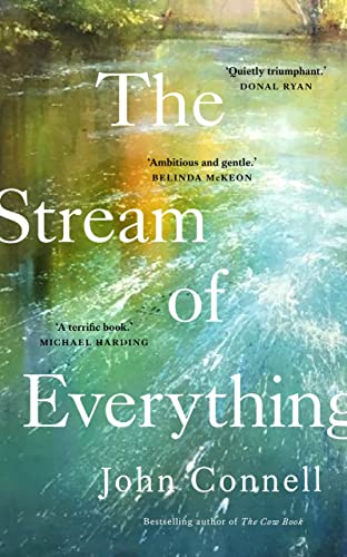 The Stream of Everything