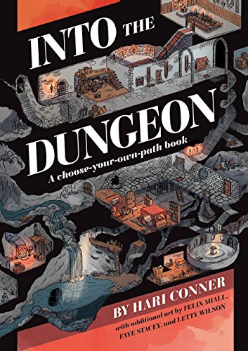Into the Dungeon: A Choose-Your-Own-Path Book von Andrews McMeel Publishing
