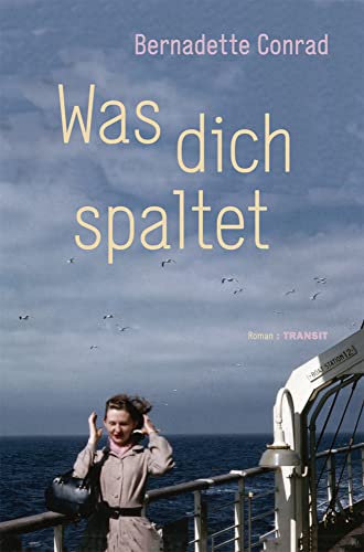 Was dich spaltet: Roman von Transit Buchverlag GmbH