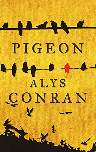 Pigeon von Parthian