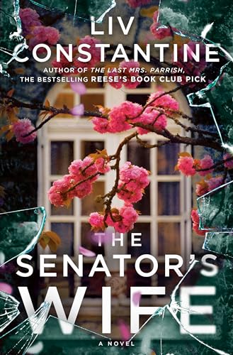 The Senator's Wife: A Novel
