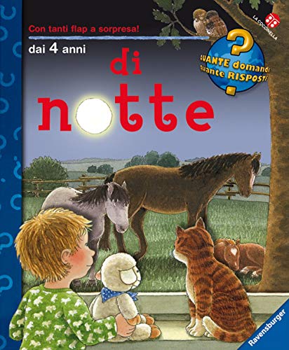 Di notte (Quante domande quante risposte)