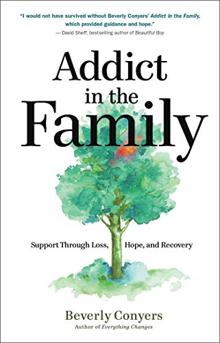 Addict in the Family: Support Through Loss, Hope, and Recovery von Hazelden Publishing