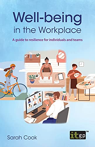 Well-being in the Workplace: A guide to resilience for individuals and teams von IT Governance Publishing