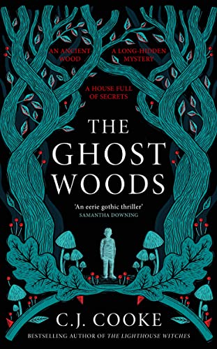 The Ghost Woods: The perfect new 2022 gothic historical novel you won’t be able to put down