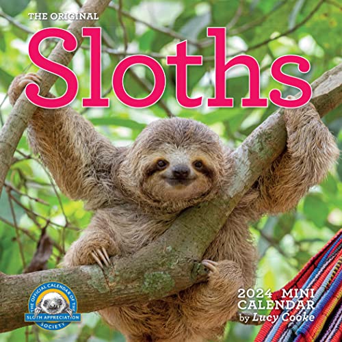 Original Sloths Mini Wall Calendar 2024: Celebrate Life in the Slow Lane von Workman Publishing Company