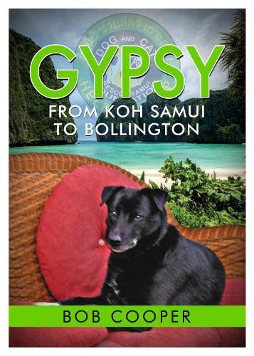 Gypsy - From Koh Samui to Bollington von i2i Publishing