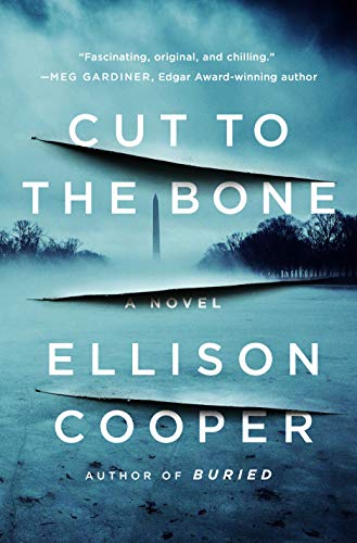 Cut to the Bone (Orphan X, 6, Band 6)