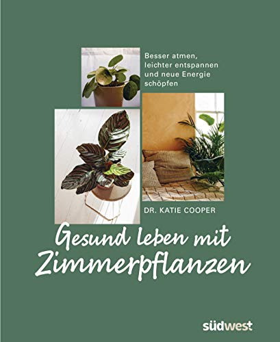 Gesund leben mit Zimmerpflanzen: Besser atmen, leichter entspannen und neue Energie schöpfen