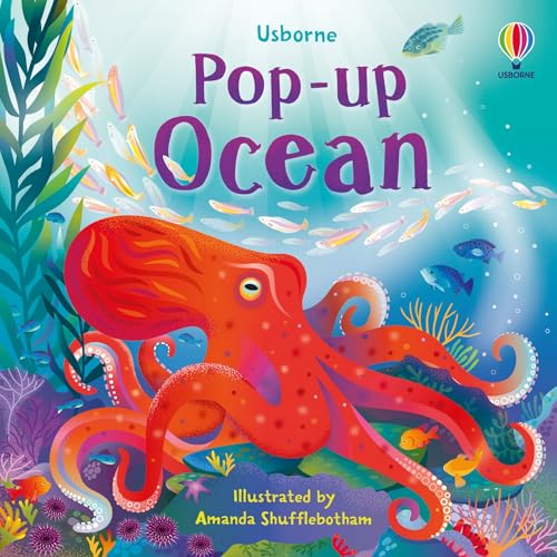 Pop-up Ocean (Pop-Ups) von Usborne Publishing