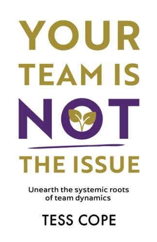 YOUR TEAM IS NOT THE ISSUE: Unearth the Systemic Roots of Team Dynamics von Authors & Co