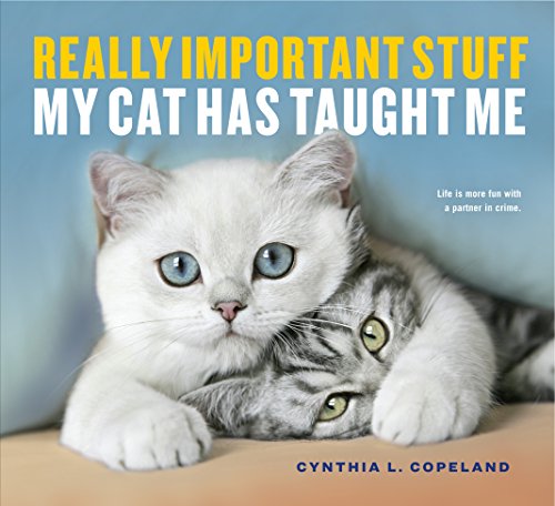 Really Important Stuff My Cat Has Taught Me Really Important Stuff My Cat Has Taught Me von Workman Publishing