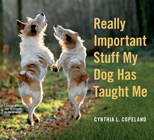 Really Important Stuff My Dog Has Taught Me: Less Bark, More Wag von Workman Publishing