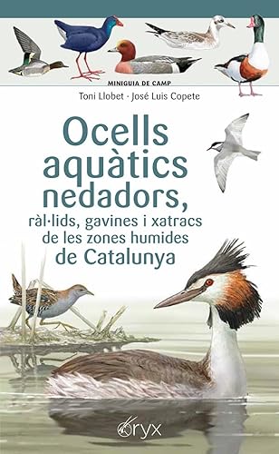 Ocells aquàtics nedadors, ràl·lids, gavines i xatracs de les zones humides de Catalunya (Miniguia de camp) von Cossetània Edicions