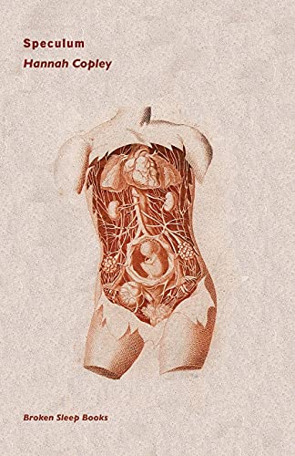 Speculum von Broken Sleep Books