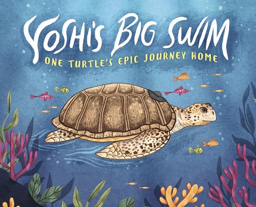 Yoshi's Big Swim: One Turtle's Epic Journey Home von Raintree